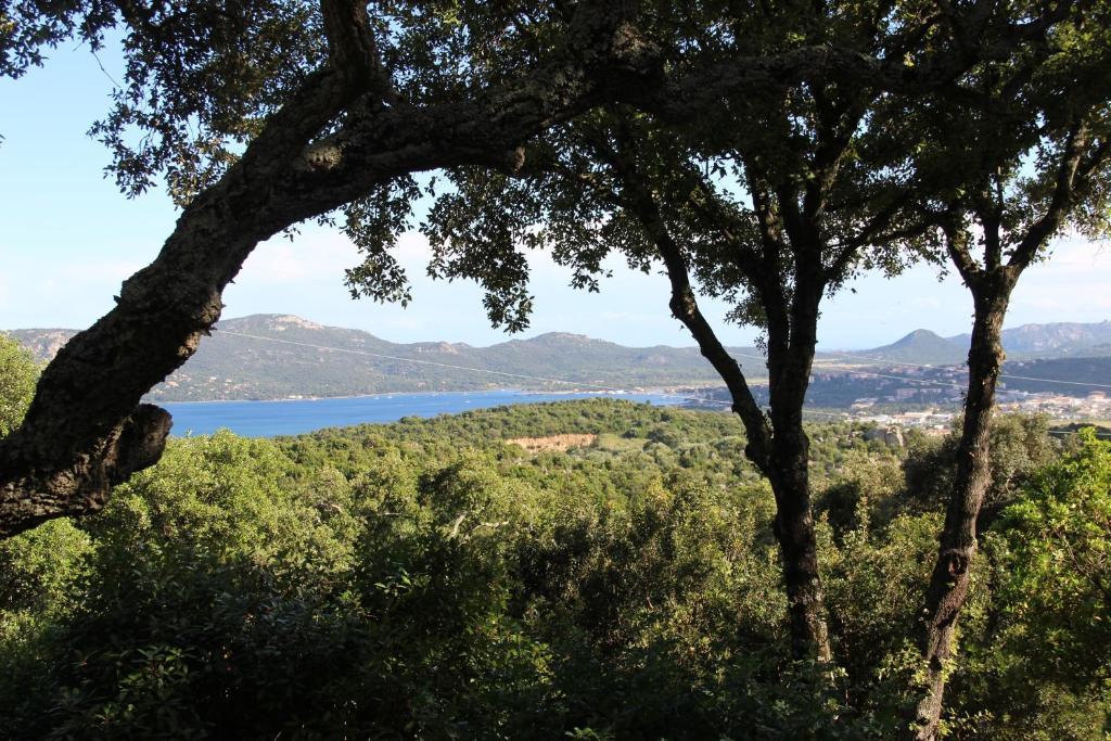 Hotel Les Hauts de Porto-Vecchio Habitación foto